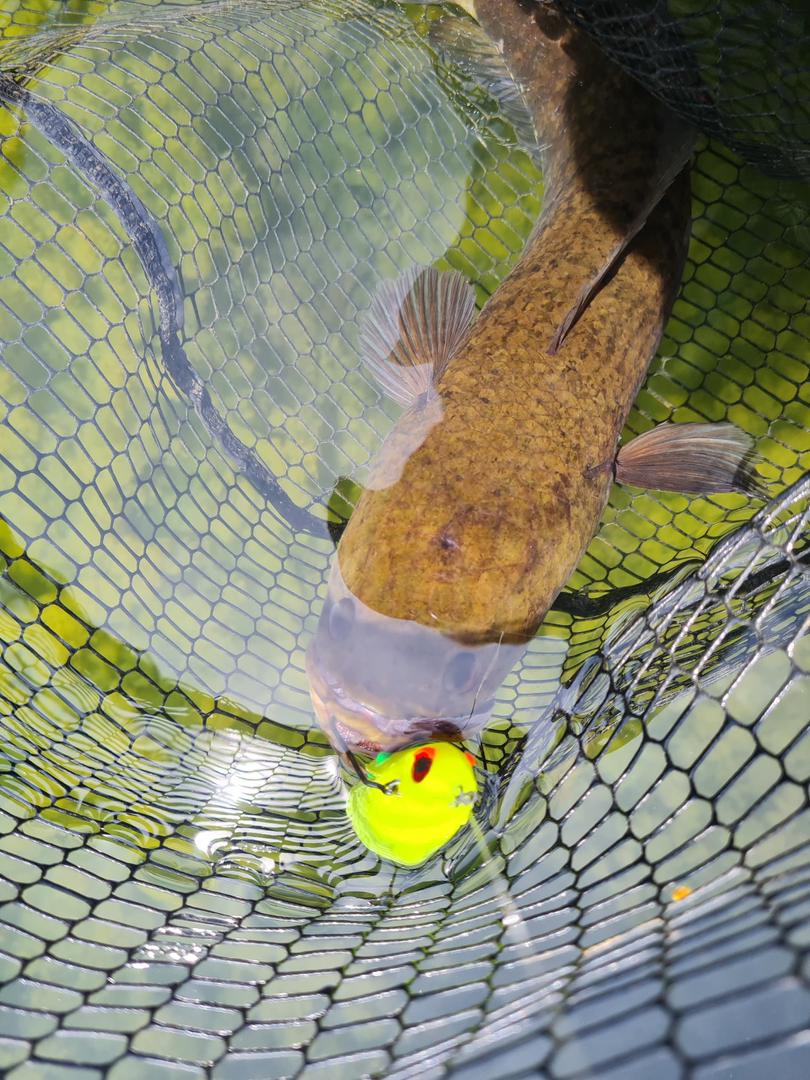 Torpedo-100 Pencil Lure