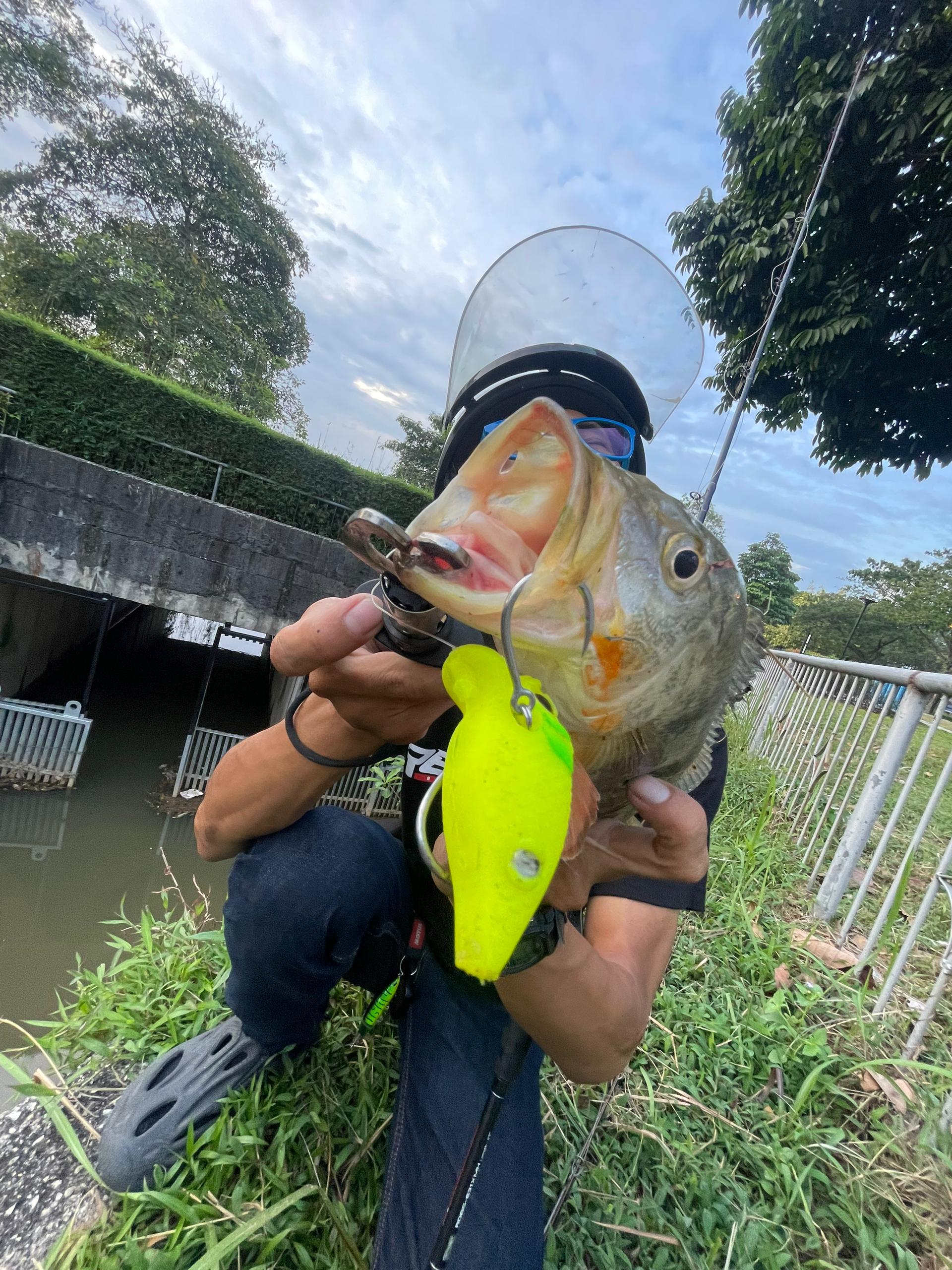 Blockbuster-55 Crankbait (CB)