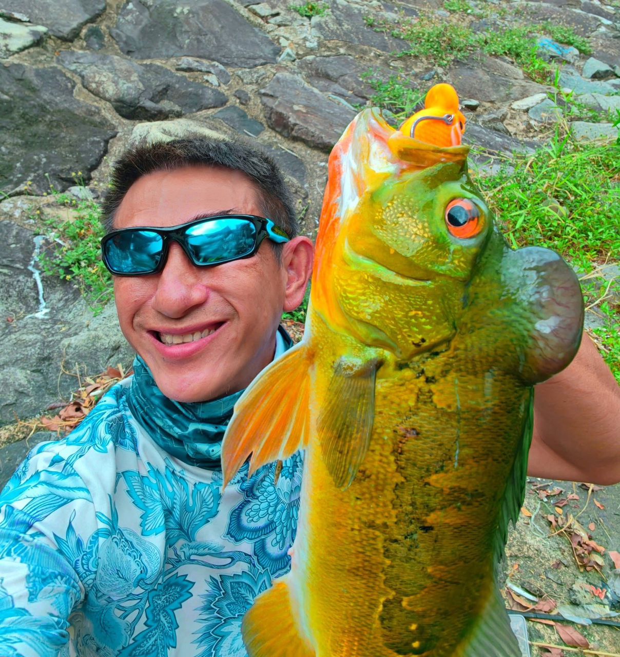 Peacock bass caught with MAGAS Blockbuster-55 Subsurface  soft silicone anti-snag fishing lure near grass, weeds, and shallow cover