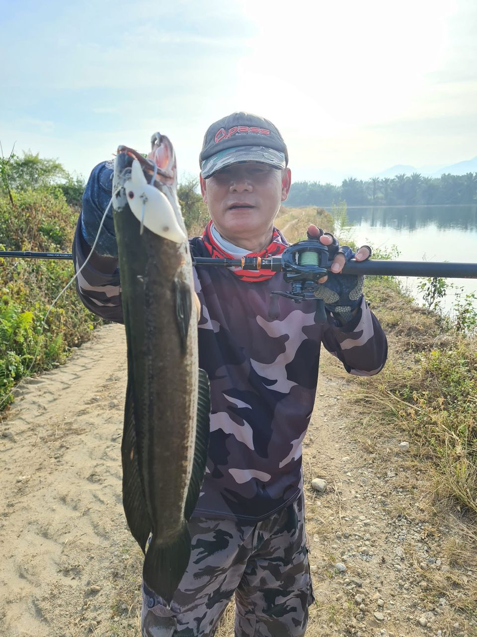 Haruan striped snakehead caught with MAGAS Blockbuster-55 soft silicone anti-snag fishing lure near grass, weeds, and shallow cover.