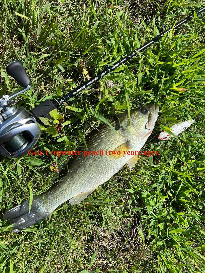 Largemouth bass caught with MAGAS  soft silicone anti-snag fishing lure near weeds, timber, rocks, and shallow cover