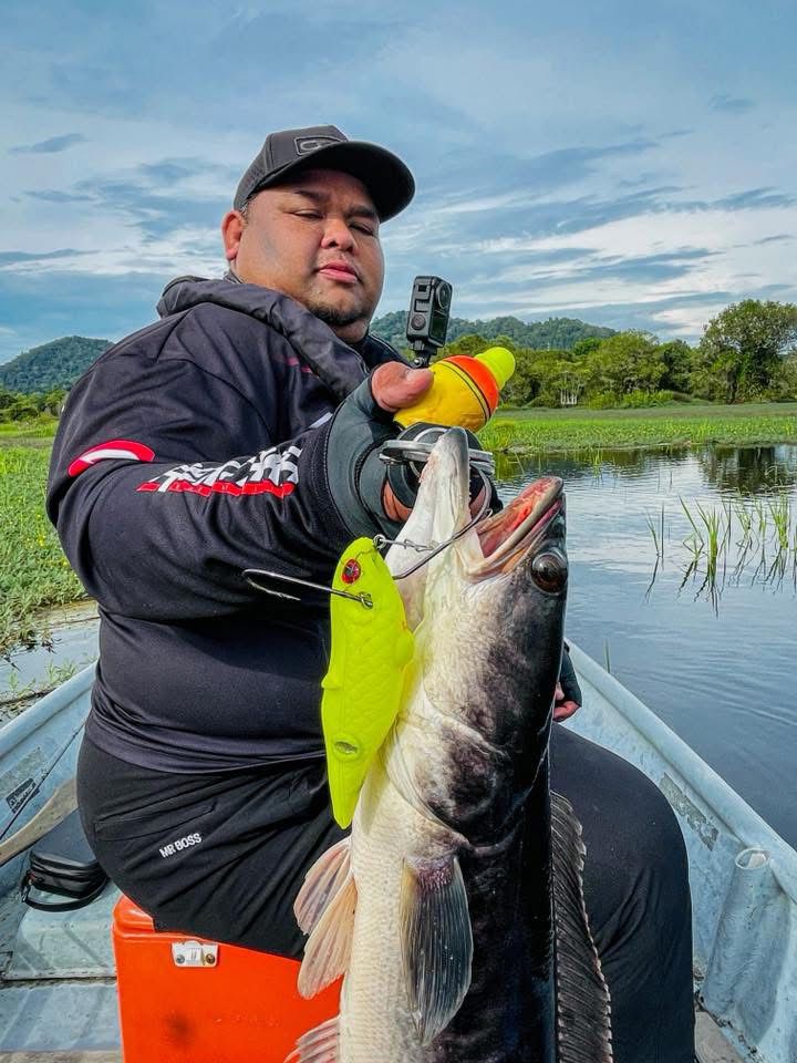 Toman giant snakehead caught with MAGAS Torpedo-100 Pencil Lure soft silicone anti-snag fishing lure near heavy cover, weeds, and shallow structure