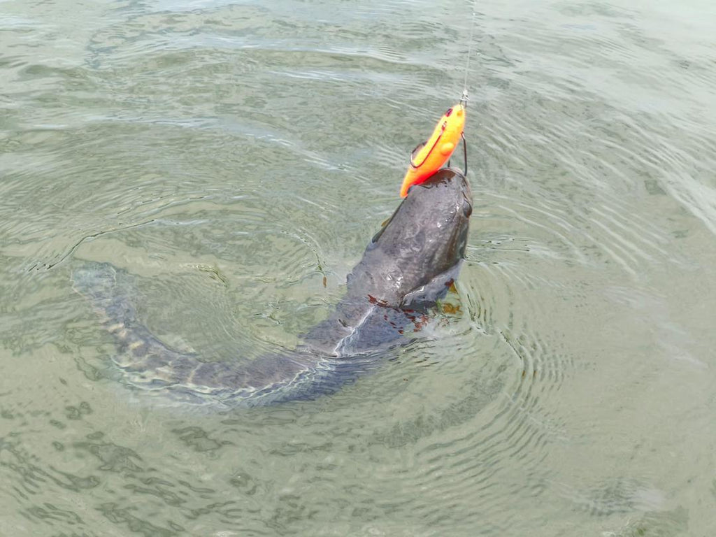 MAGAS Torpedo-100 pencil topwater soft silicone anti-snag fishing lure with patented Magnetic Anti-Snag System for surface fishing