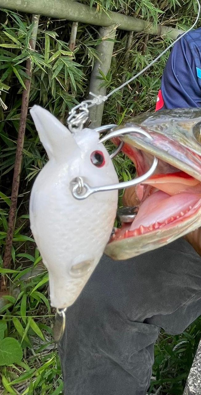 Blockbuster-55 Crankbait (CB)