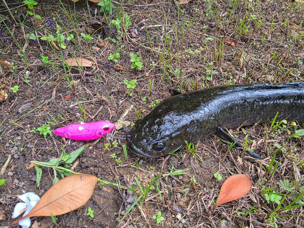Torpedo-100 Pencil Lure