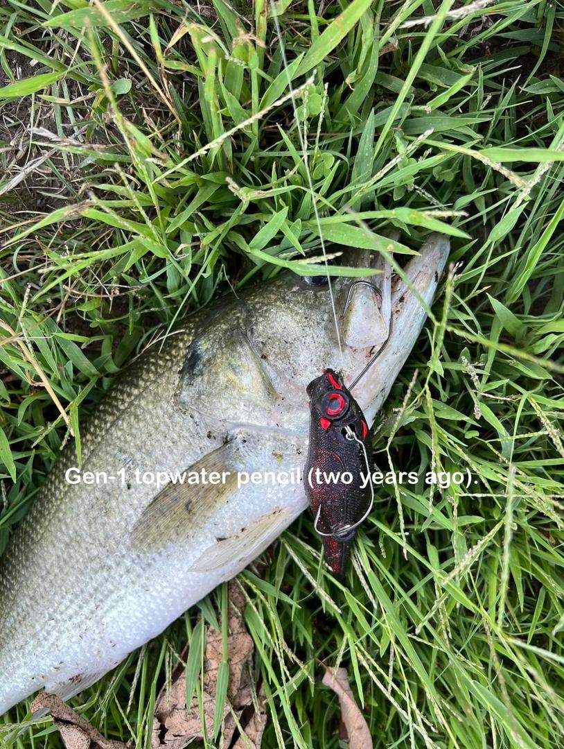 Largemouth bass caught with MAGAS Bsoft silicone anti-snag fishing lure near weeds, timber, rocks, and shallow cover