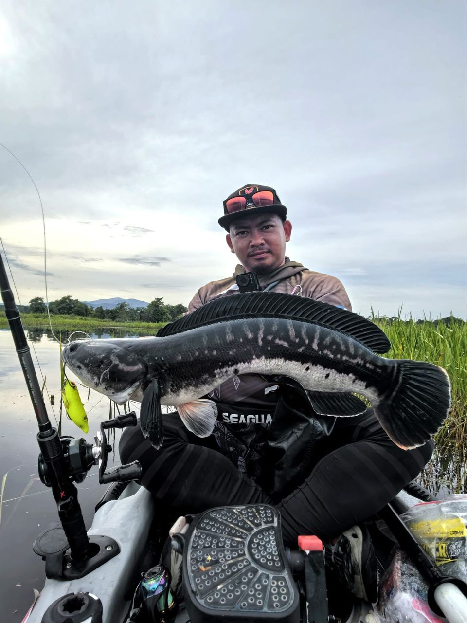 Toman giant snakehead caught with MAGAS Torpedo-100 Pencil Lure soft silicone anti-snag fishing lure near heavy cover, weeds, and shallow structure