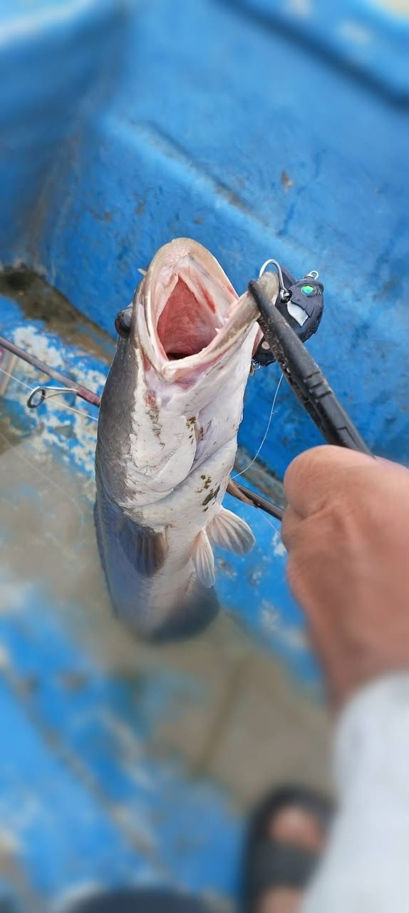 Close-up view of the MAGAS Magnetic Anti-Snag System holding the single hook close to the soft silicone lure body.