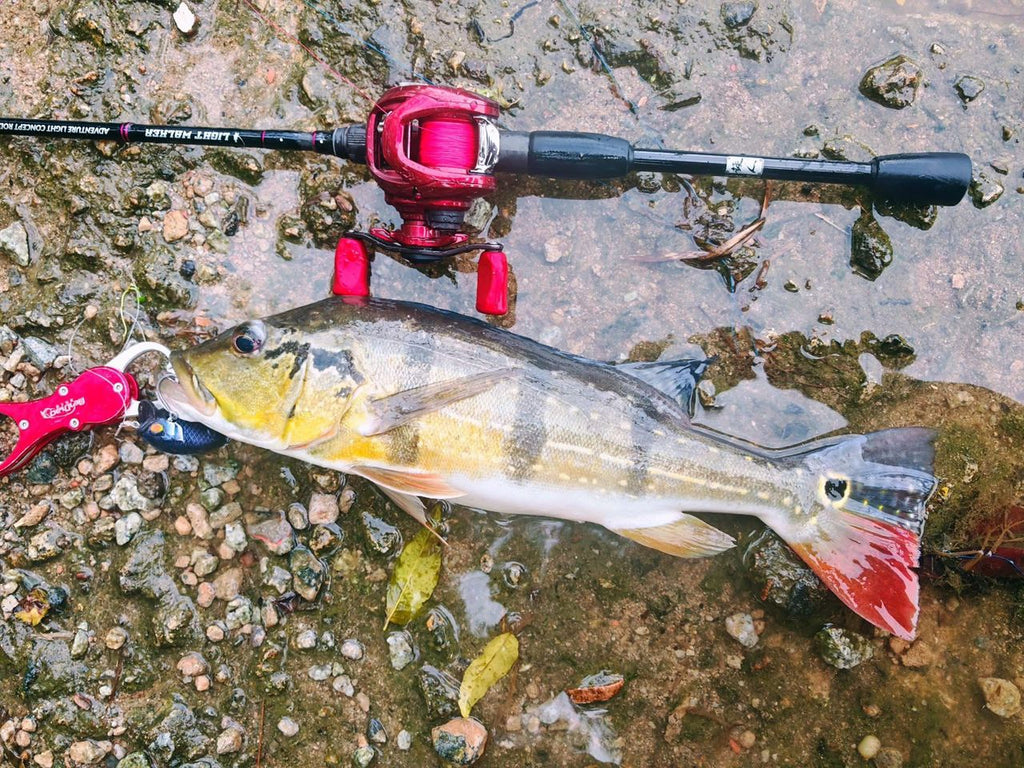 Blockbuster - 55 Subsurface (SF) - MY TACKLE R&D ENTERPRISE