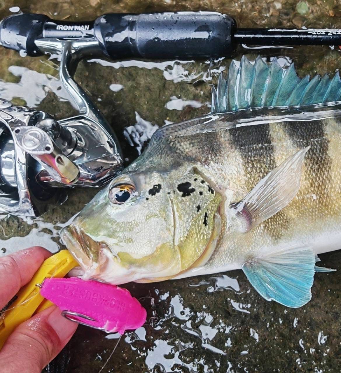 Build Your MAGAS Loadout - MY TACKLE R&D ENTERPRISE