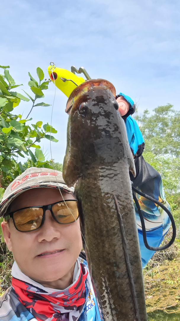 Torpedo - 100 Pencil Lure - MY TACKLE R&D ENTERPRISE