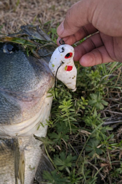 Build Your MAGAS Bundle MIX! (Pick 3) - MY TACKLE R&D ENTERPRISE