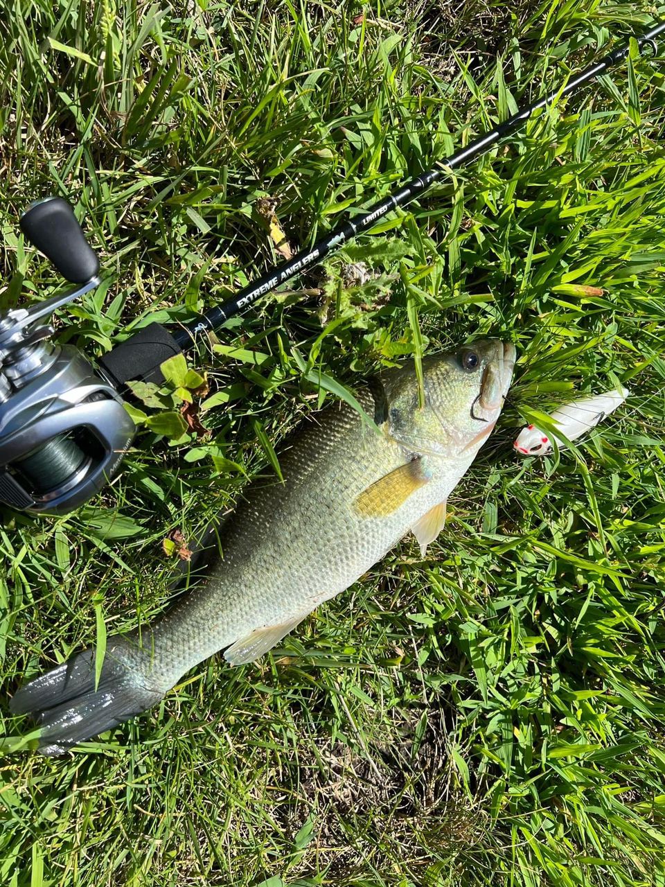 Build Your MAGAS Loadout - MY TACKLE R&D ENTERPRISE
