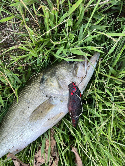 Build Your MAGAS Bundle MIX! (Pick 12) - MY TACKLE R&D ENTERPRISE