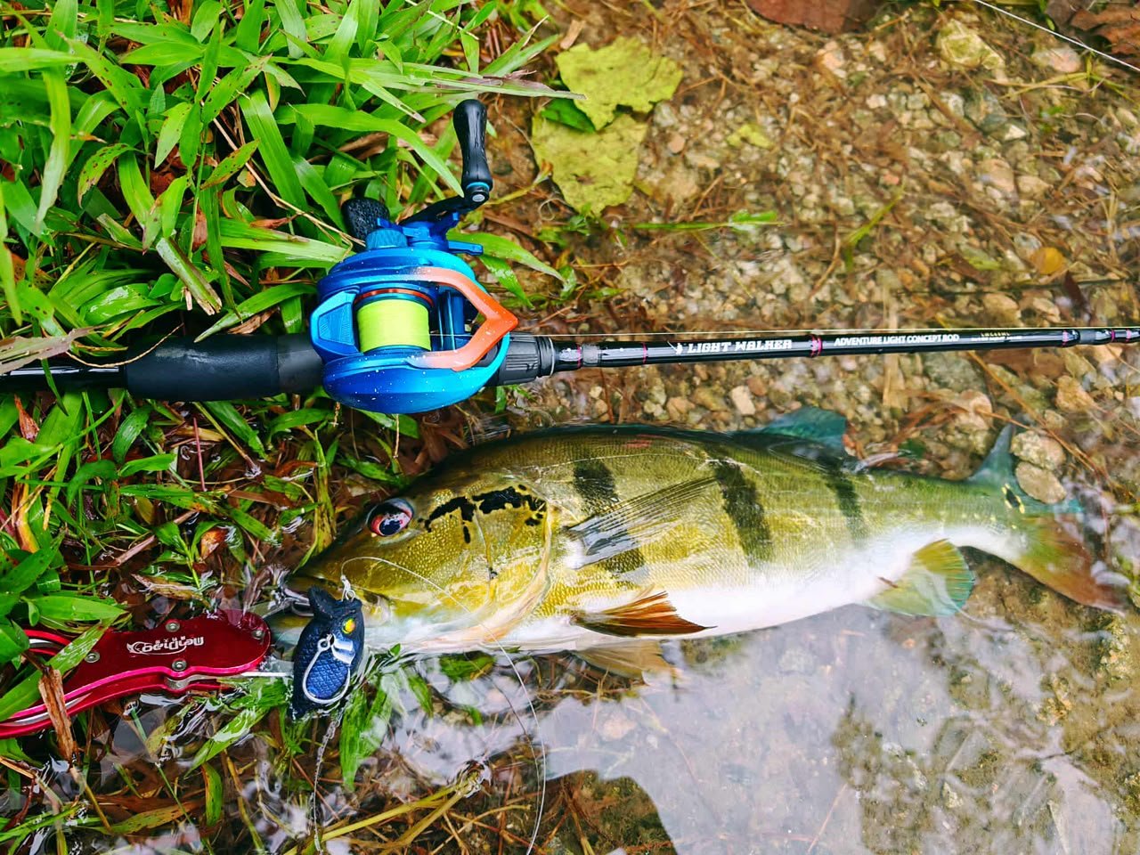 Build Your MAGAS Loadout - MY TACKLE R&D ENTERPRISE