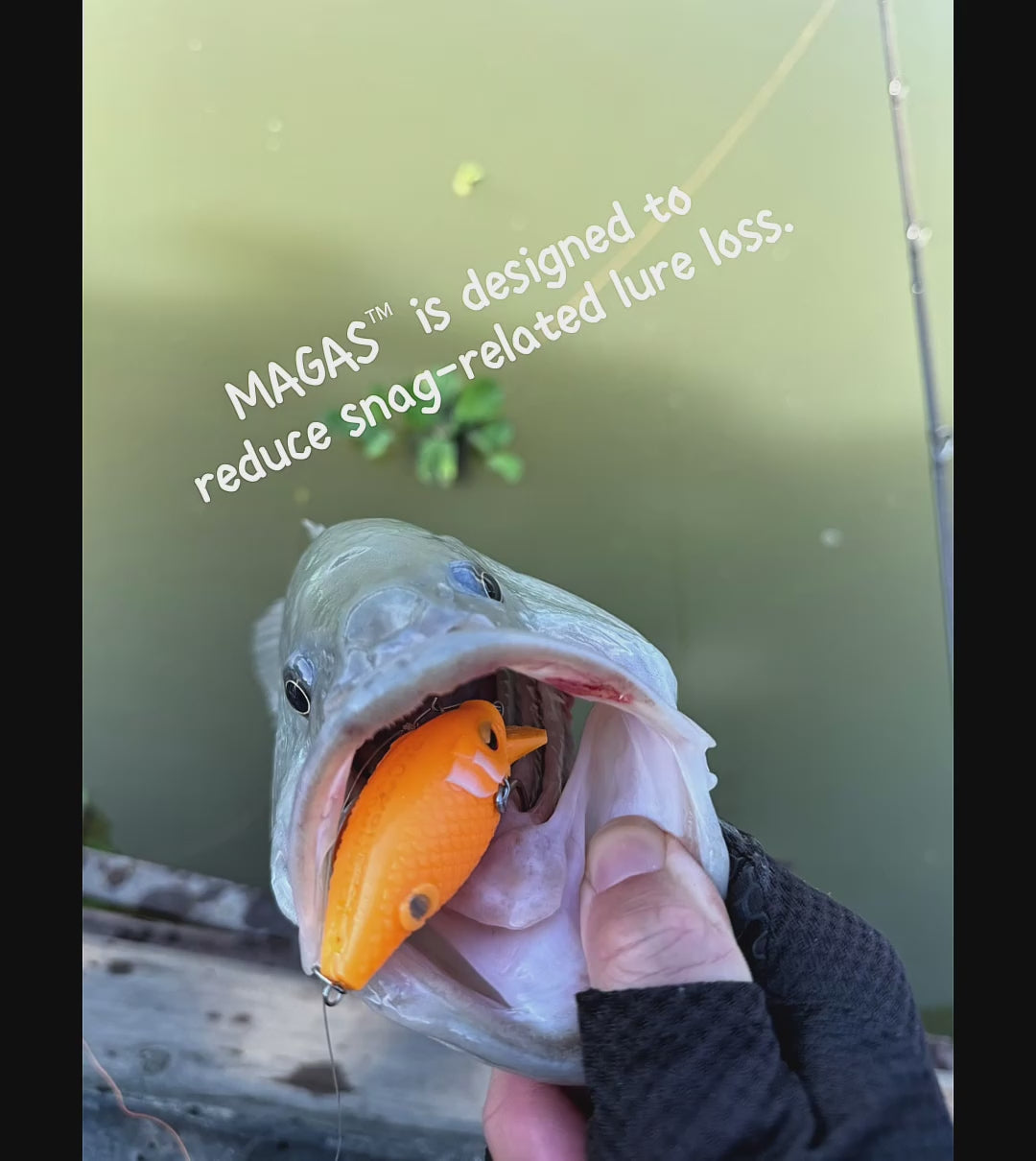A snagged lure does not disappear